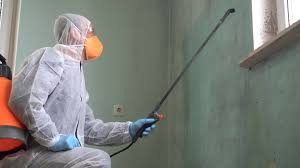 Mold Odor Removal Services in Goldens Bridge, NY